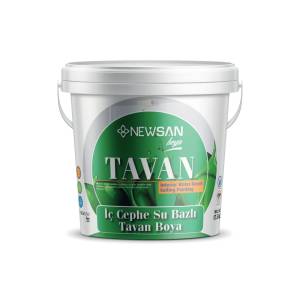 Tavan Boyası